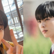 cha eunwoo brother