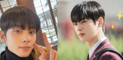 cha eunwoo brother