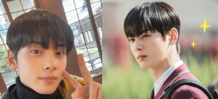 cha eunwoo brother