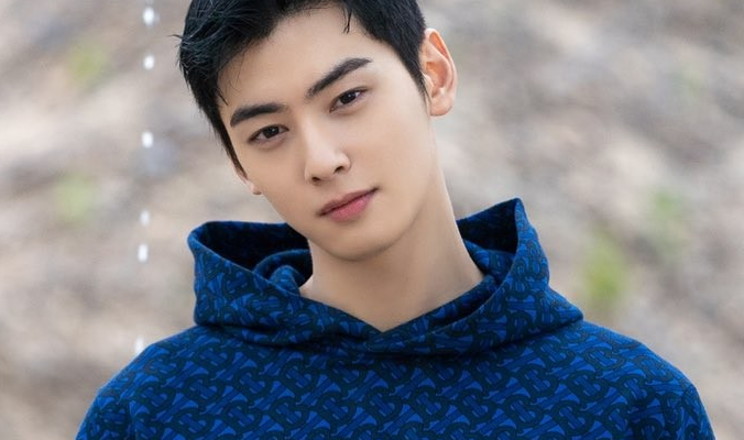 cha eun woo brother